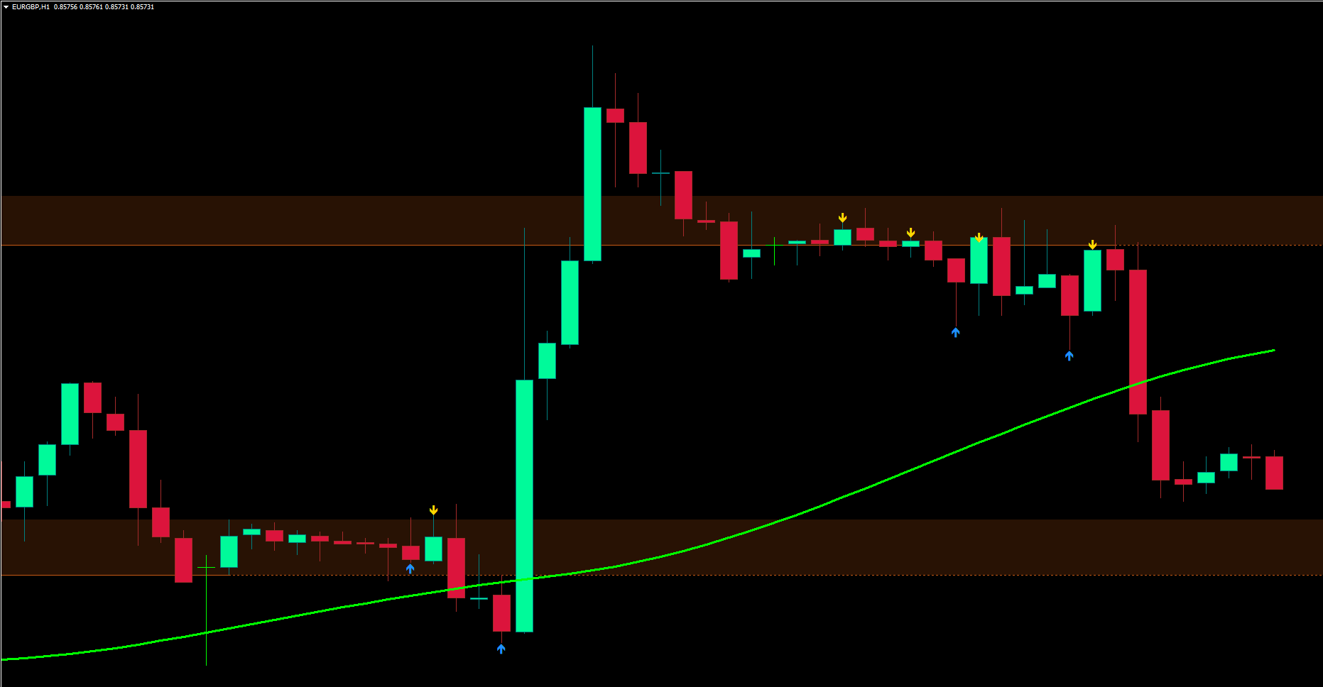 Live Trading Proof 5